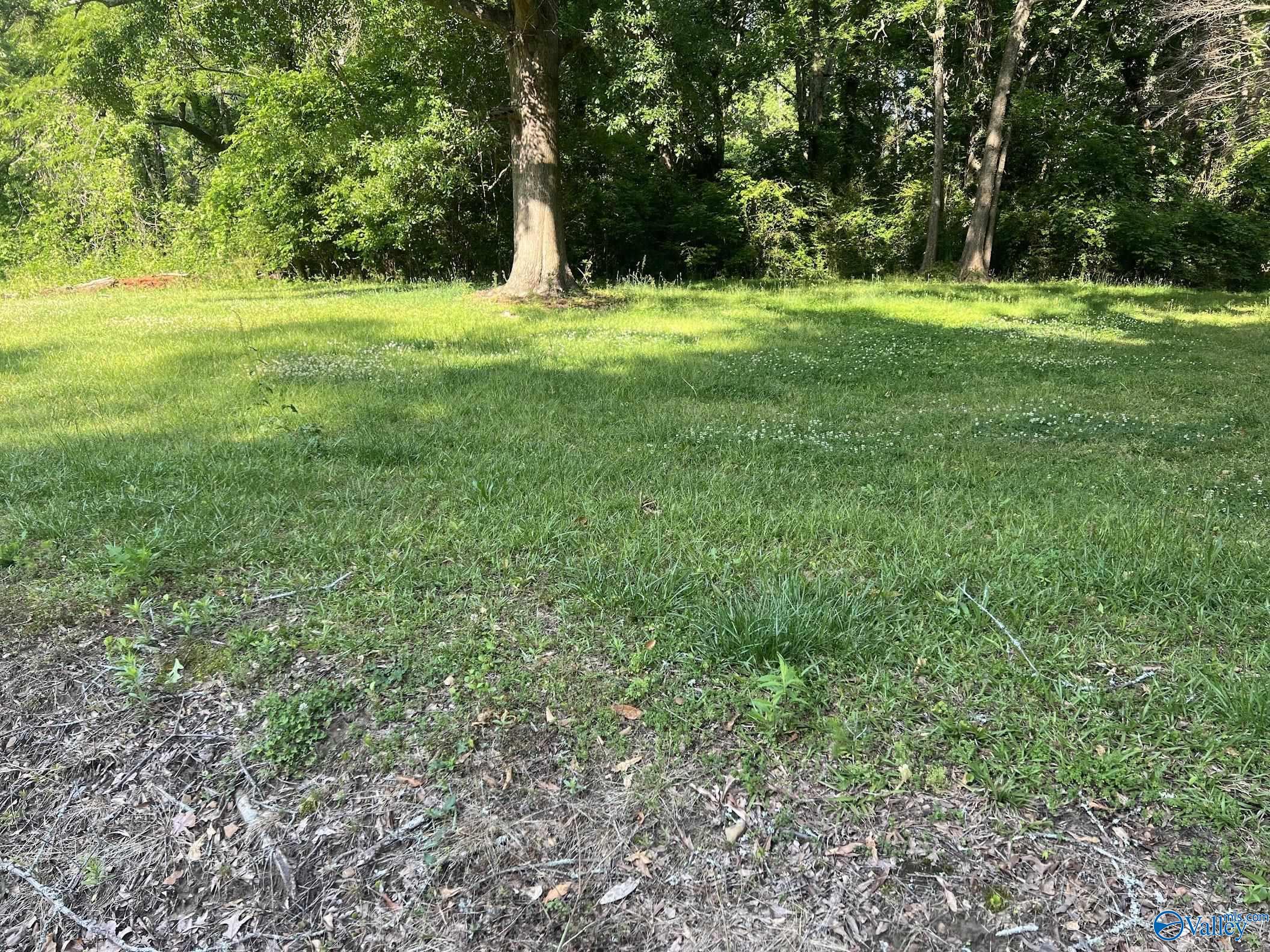 001 County Road 1354