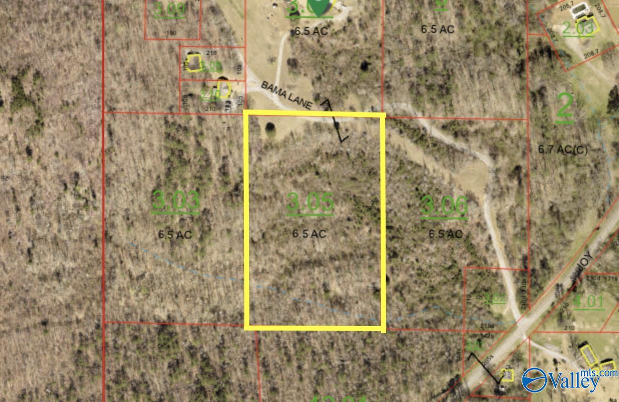 6.5 Acres Bama Lane, Blountsville, Alabama image 2
