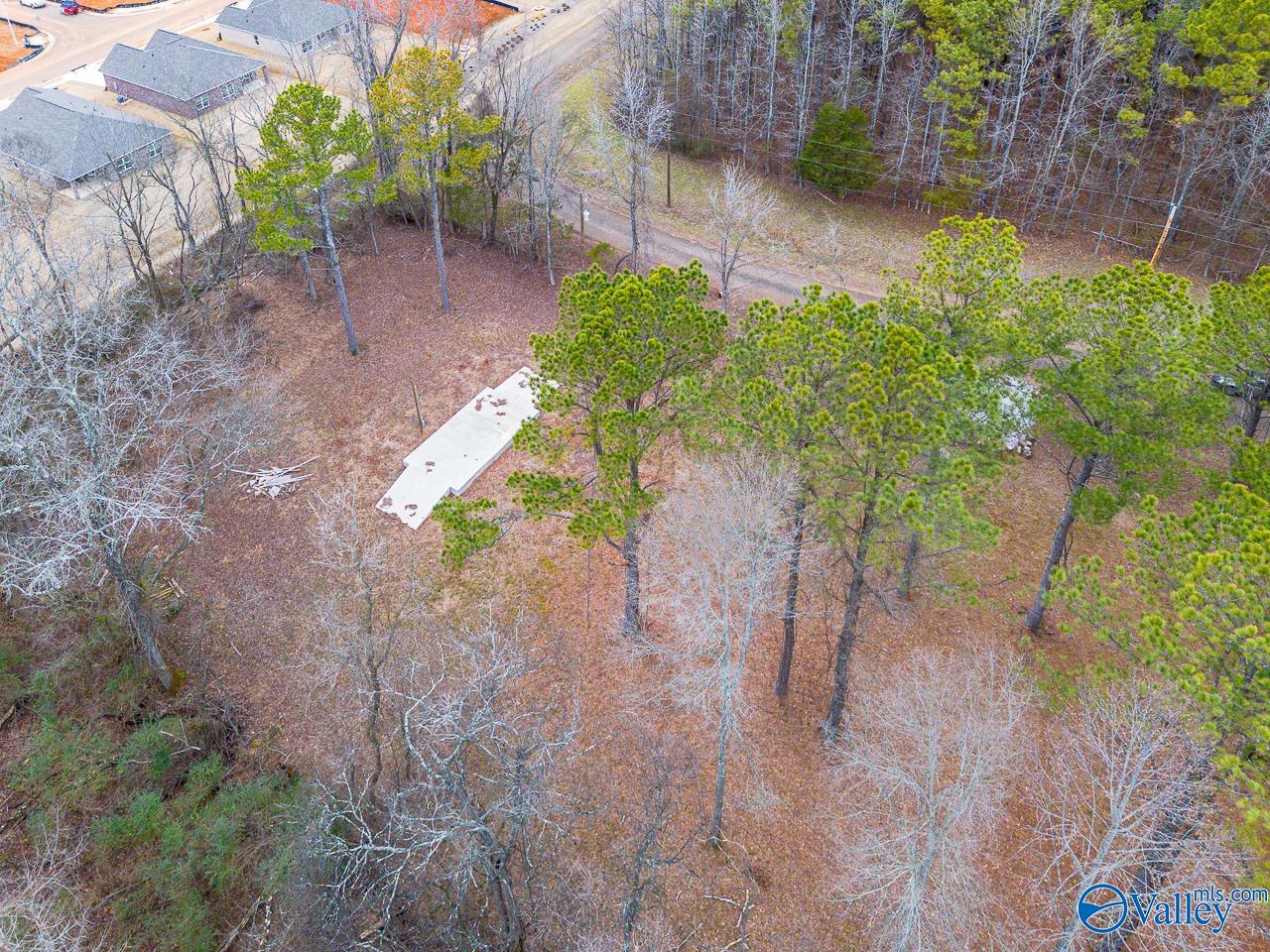 8061 Spragins Hollow Road, Huntsville, Alabama image 29