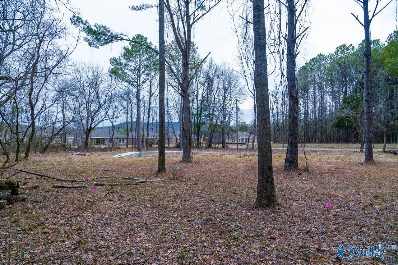8061 Spragins Hollow Road, Huntsville, Alabama image 17