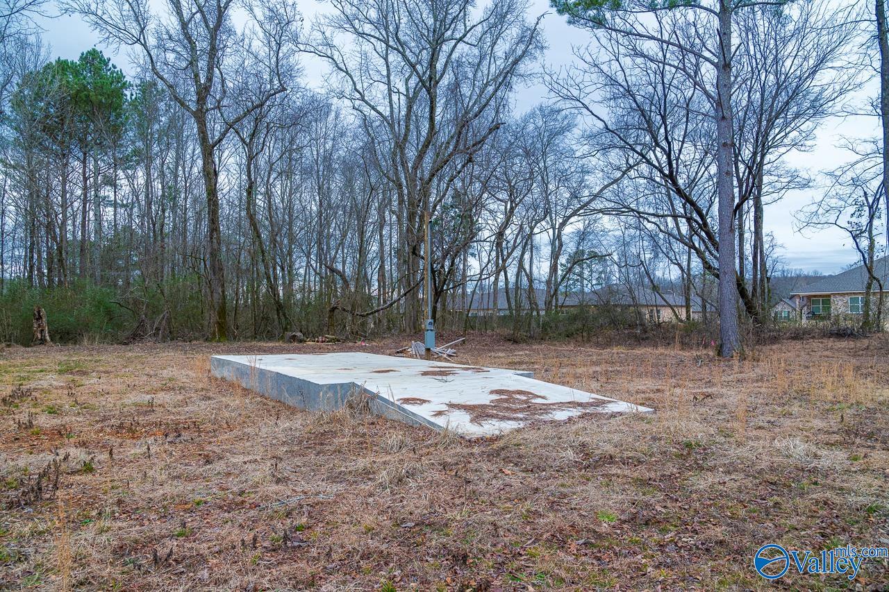8061 Spragins Hollow Road, Huntsville, Alabama image 13
