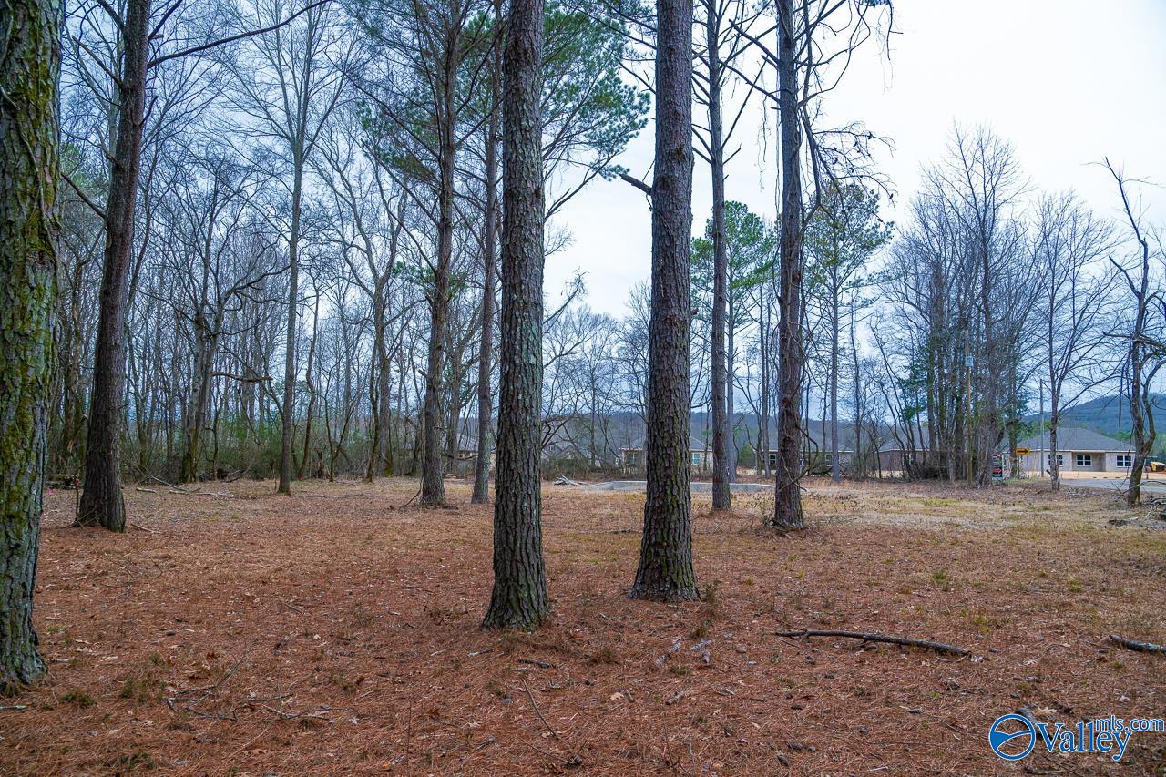 8061 Spragins Hollow Road, Huntsville, Alabama image 18