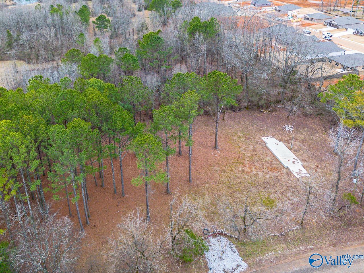 8061 Spragins Hollow Road, Huntsville, Alabama image 4