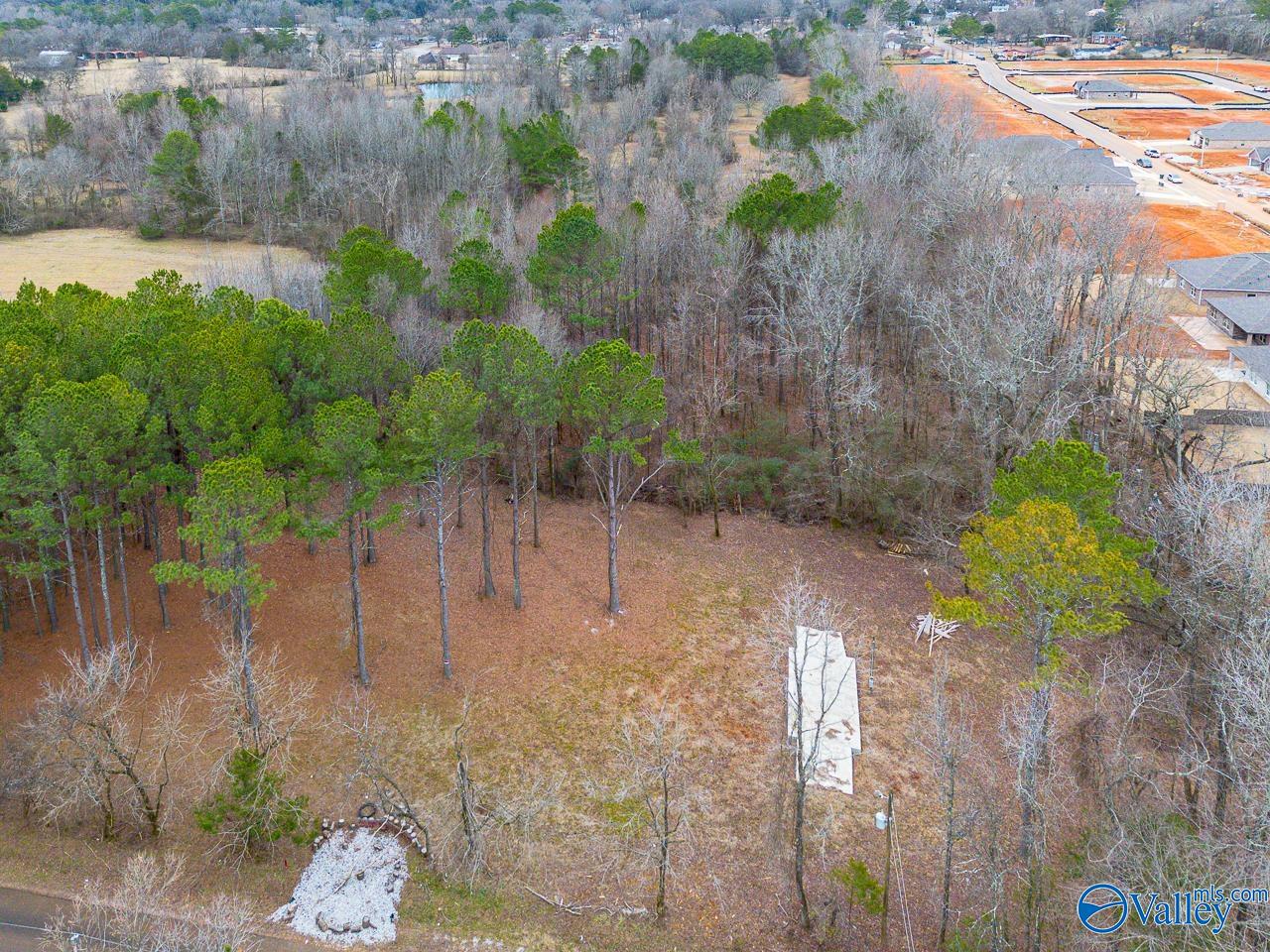 8061 Spragins Hollow Road, Huntsville, Alabama image 6