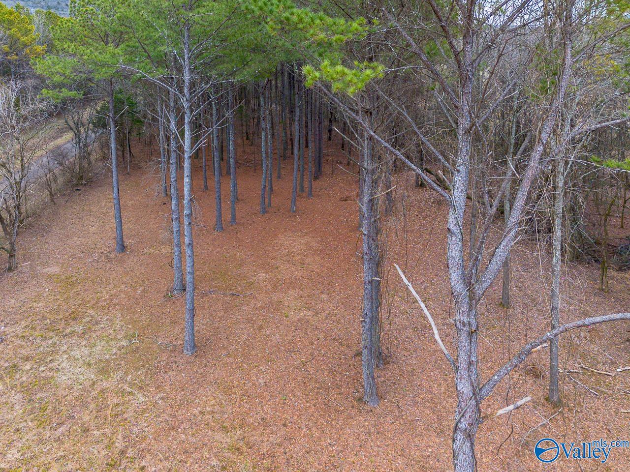8061 Spragins Hollow Road, Huntsville, Alabama image 10