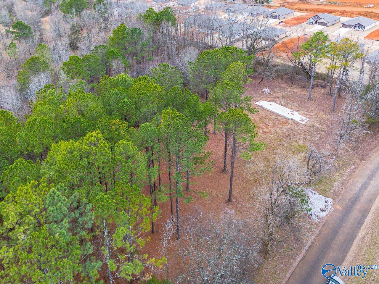 8061 Spragins Hollow Road, Huntsville, Alabama image 3