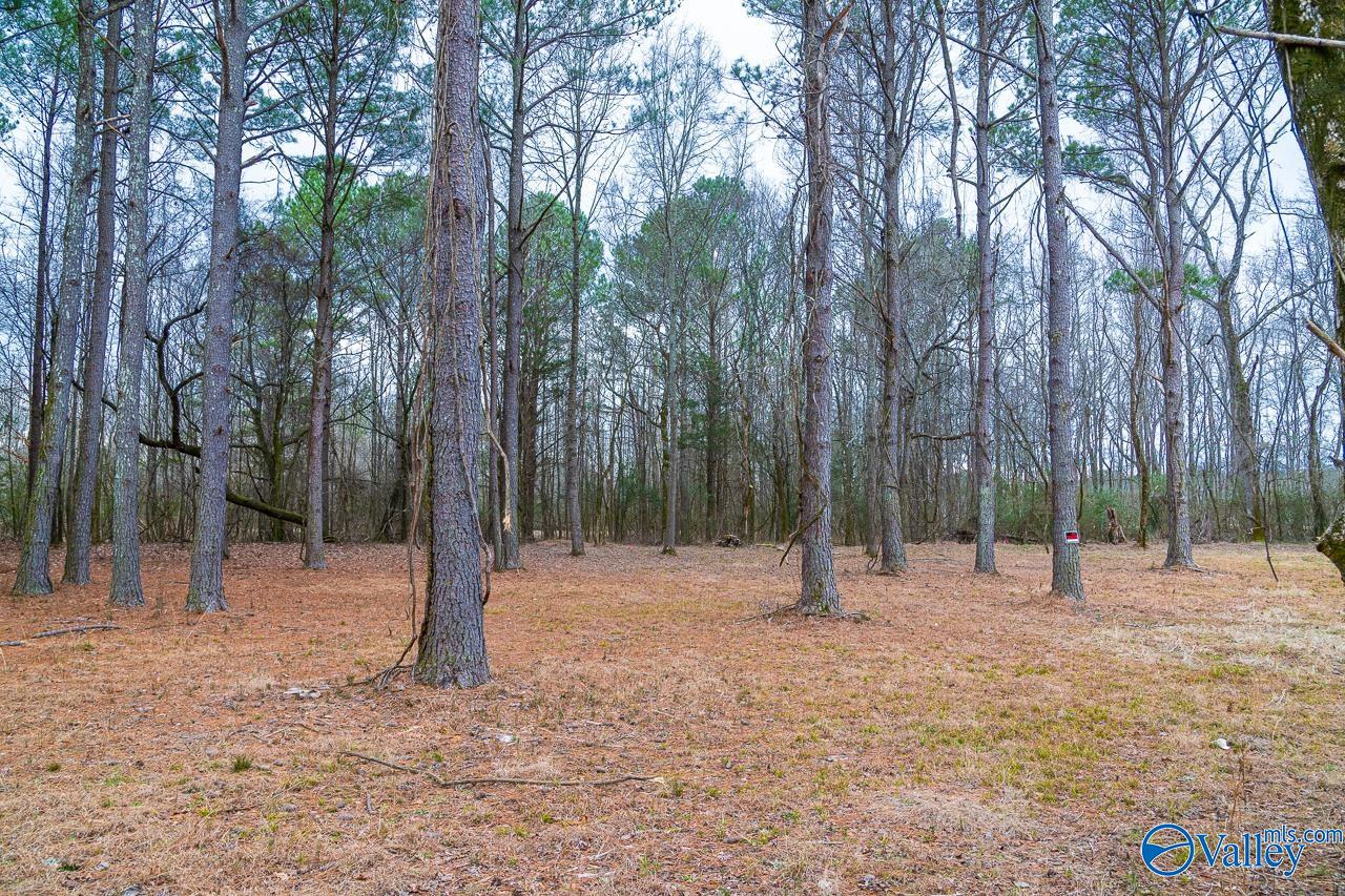 8061 Spragins Hollow Road, Huntsville, Alabama image 12