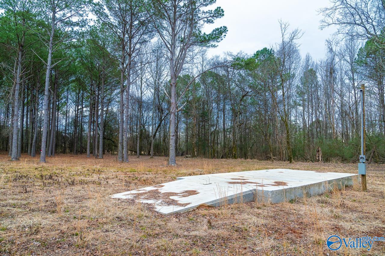8061 Spragins Hollow Road, Huntsville, Alabama image 14