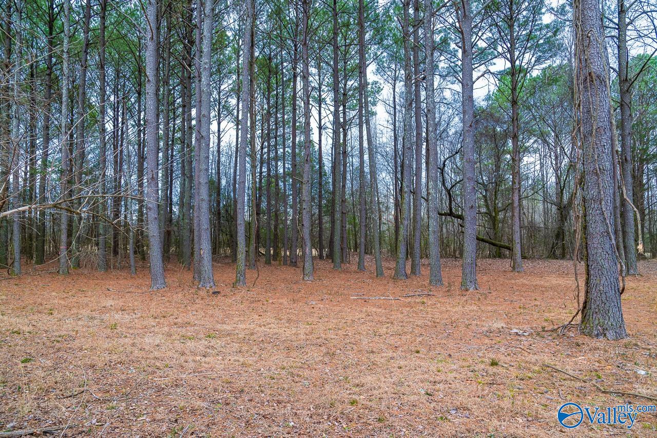 8061 Spragins Hollow Road, Huntsville, Alabama image 11