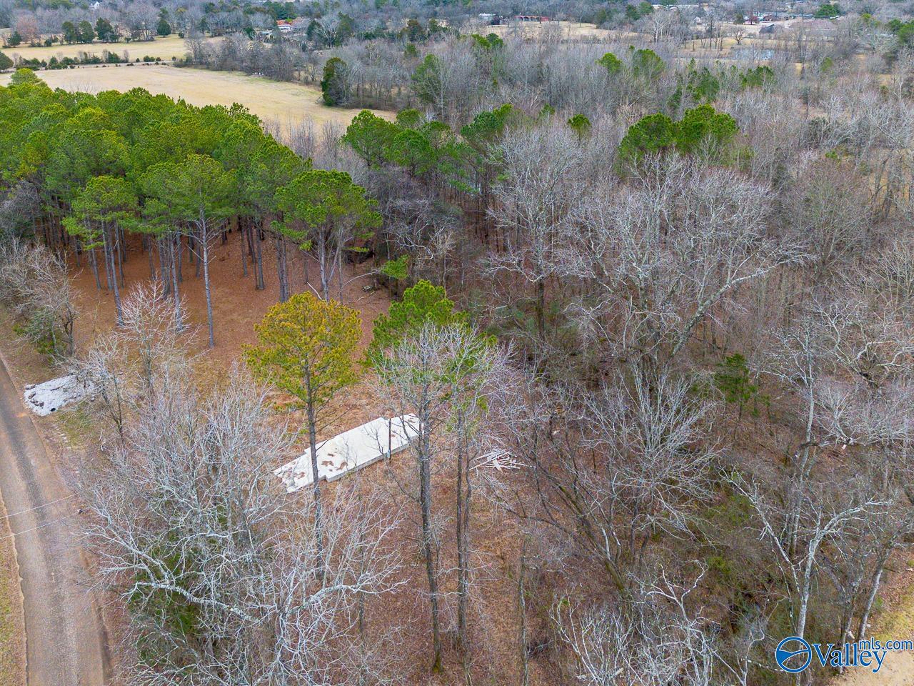 8061 Spragins Hollow Road, Huntsville, Alabama image 23