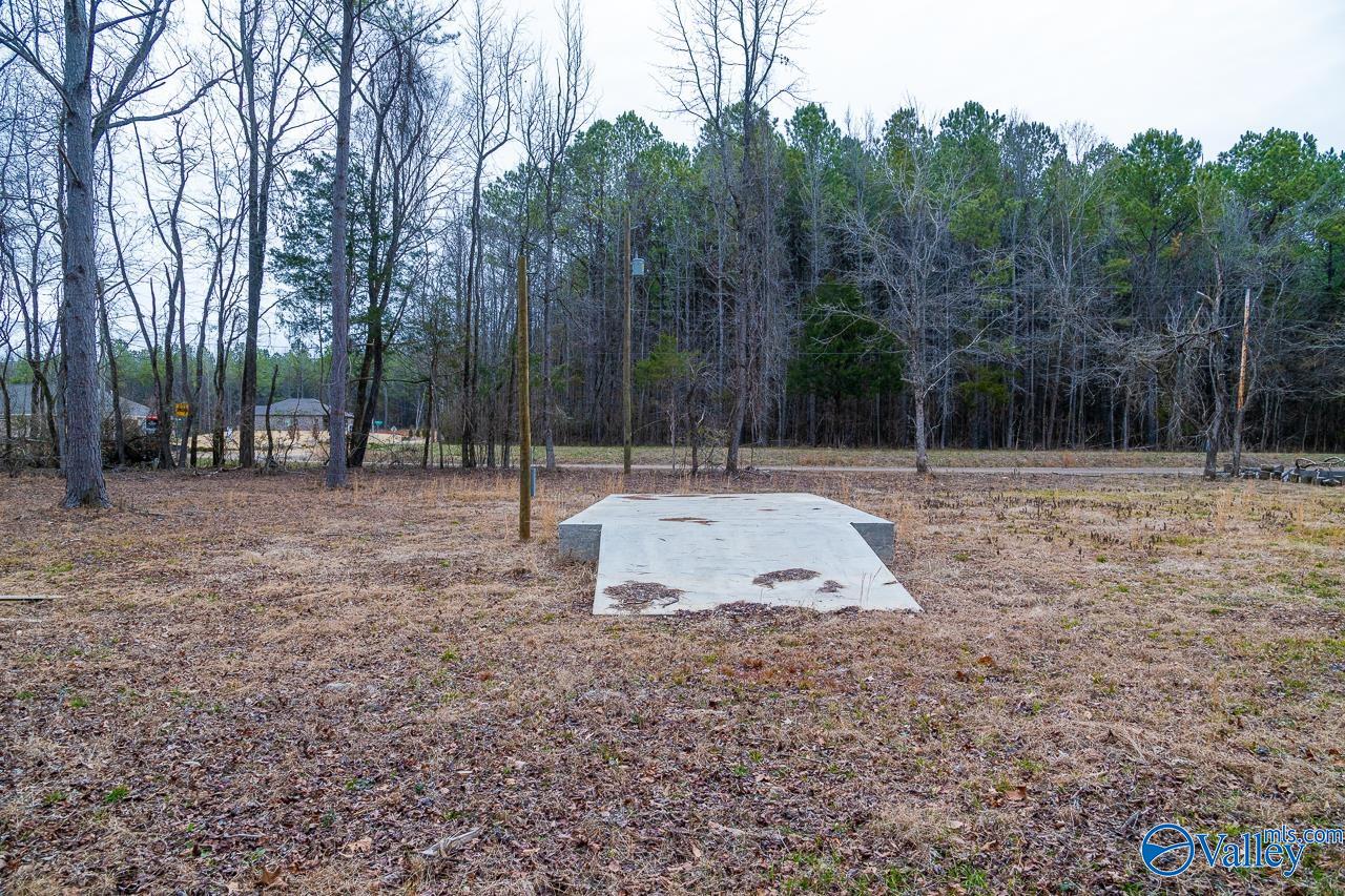 8061 Spragins Hollow Road, Huntsville, Alabama image 16
