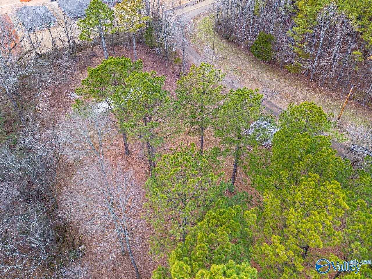 8061 Spragins Hollow Road, Huntsville, Alabama image 30