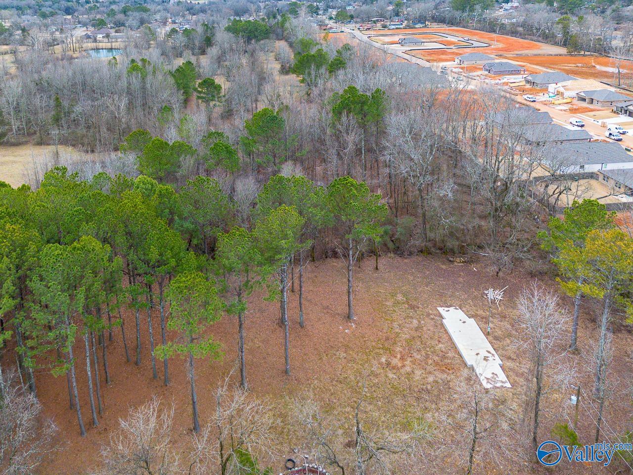 8061 Spragins Hollow Road, Huntsville, Alabama image 5