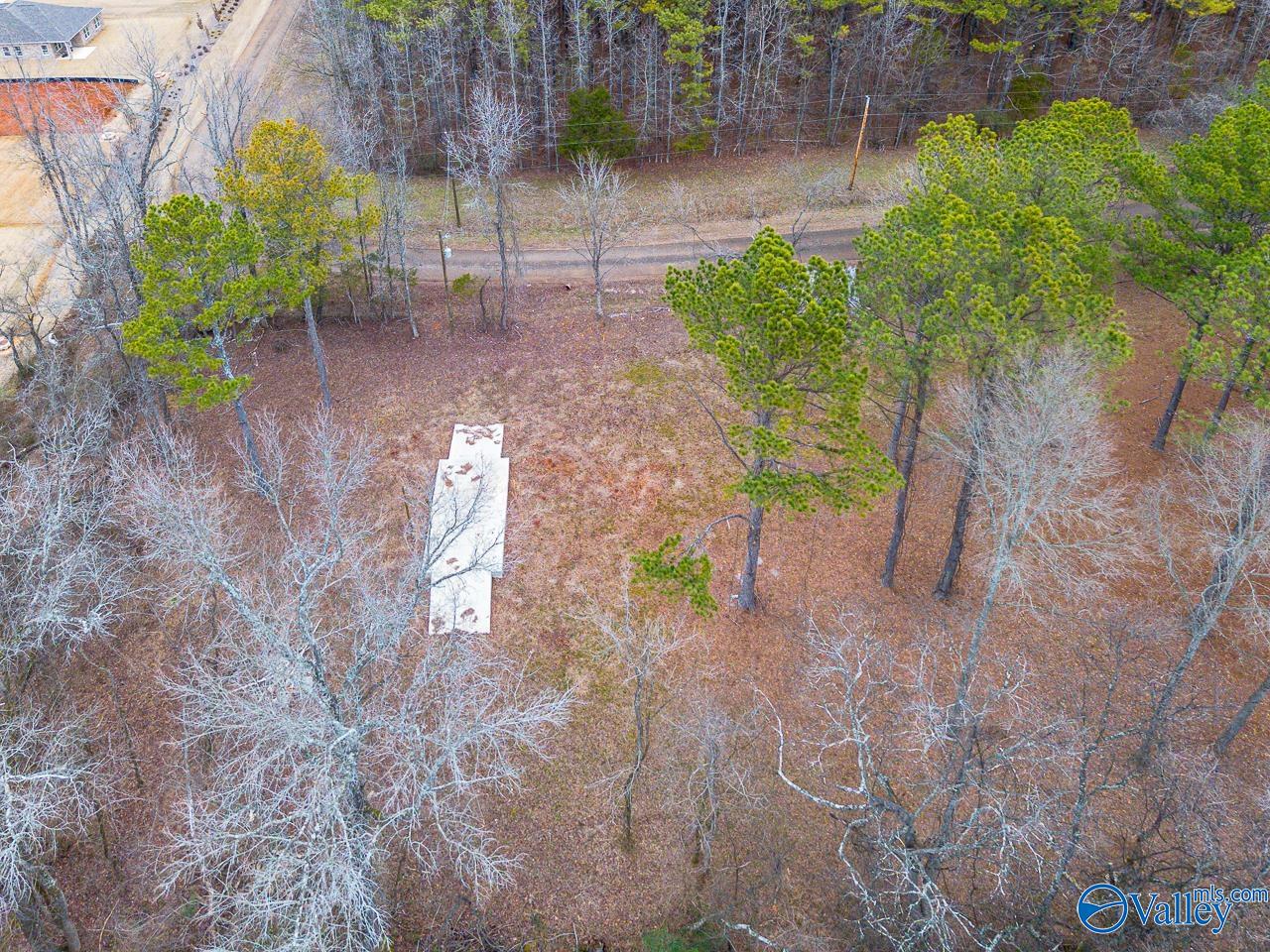 8061 Spragins Hollow Road, Huntsville, Alabama image 28
