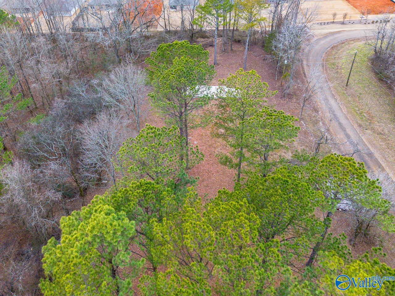 8061 Spragins Hollow Road, Huntsville, Alabama image 1