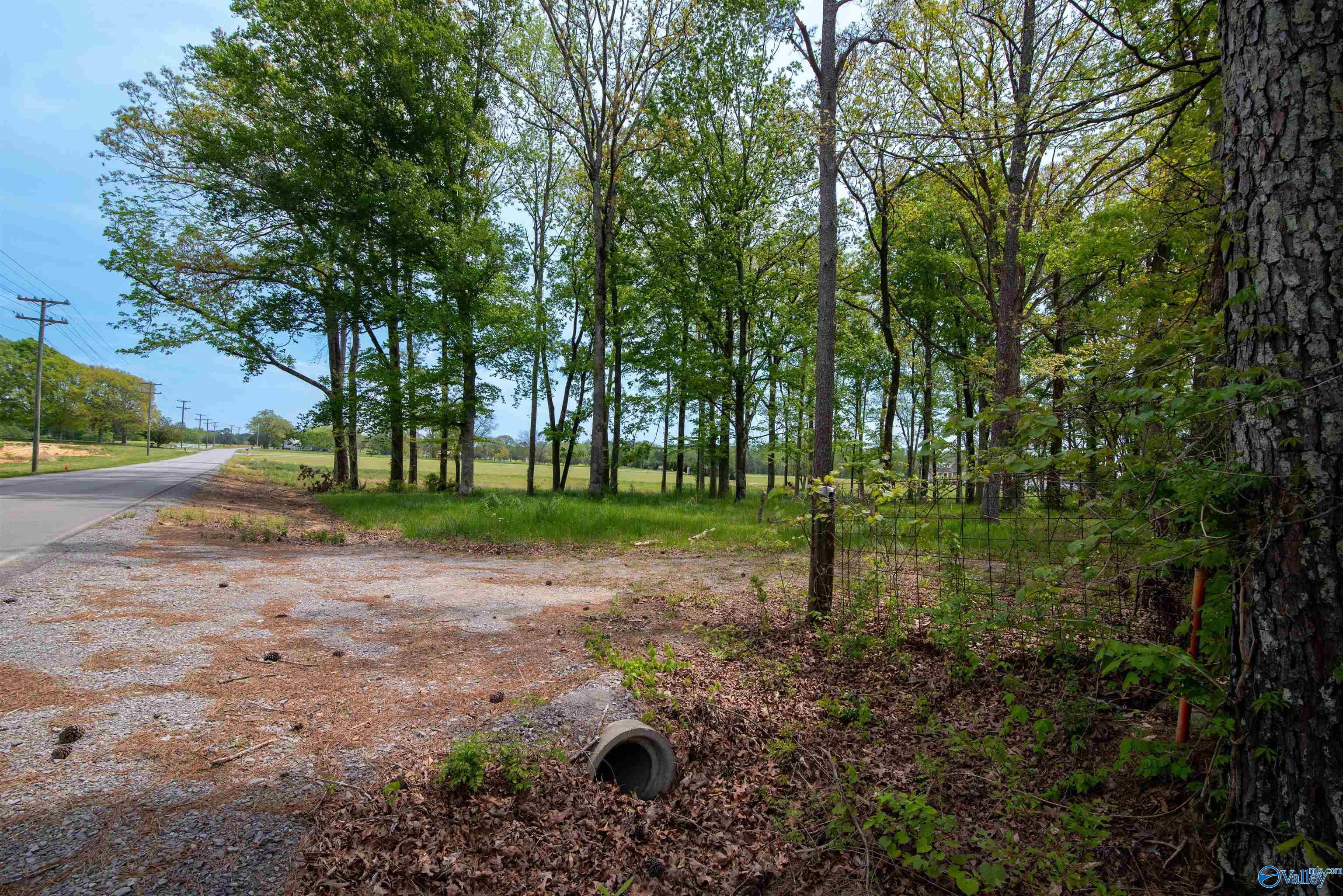 1710 Bethel Road, Hartselle, Alabama image 6