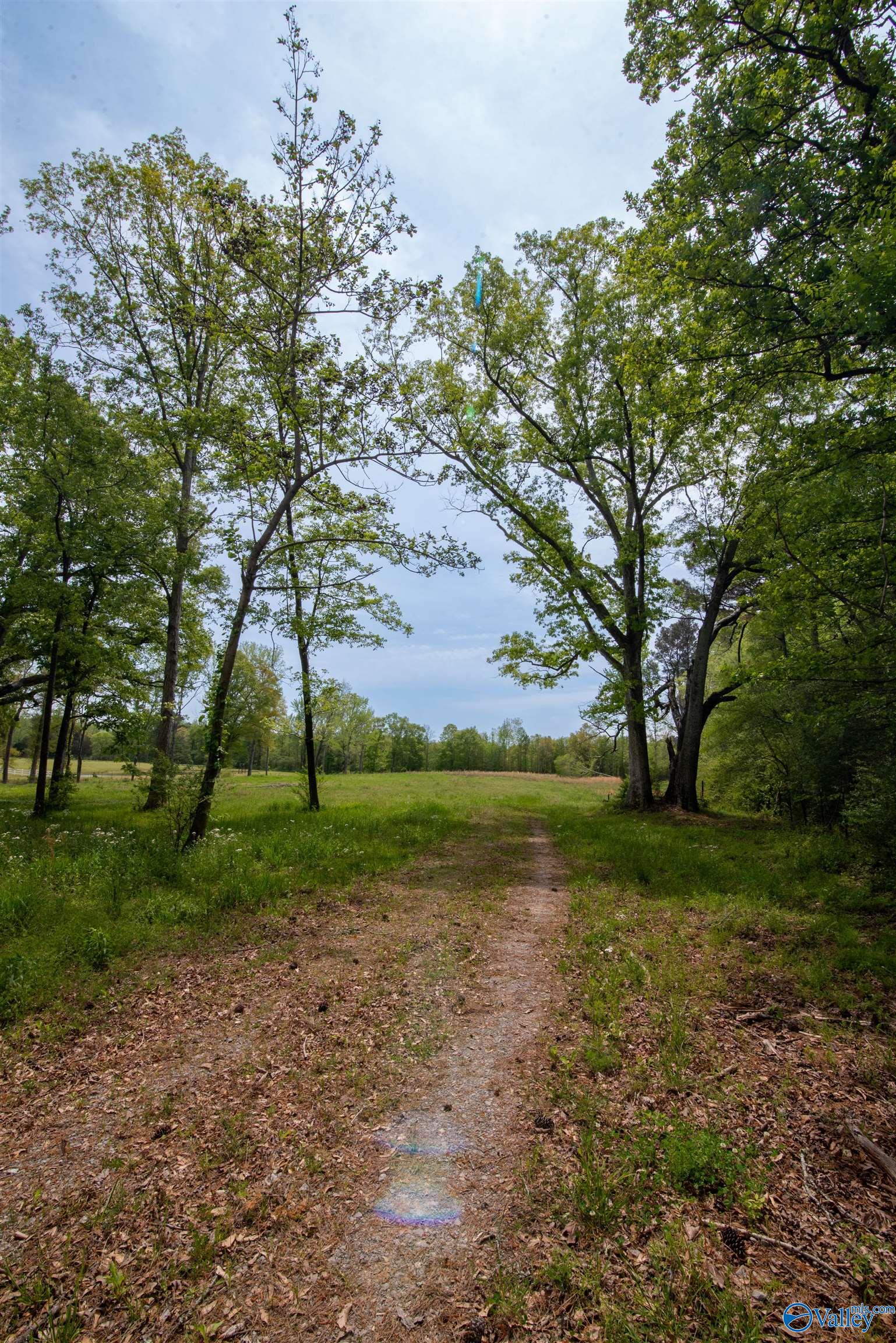 1710 Bethel Road, Hartselle, Alabama image 15