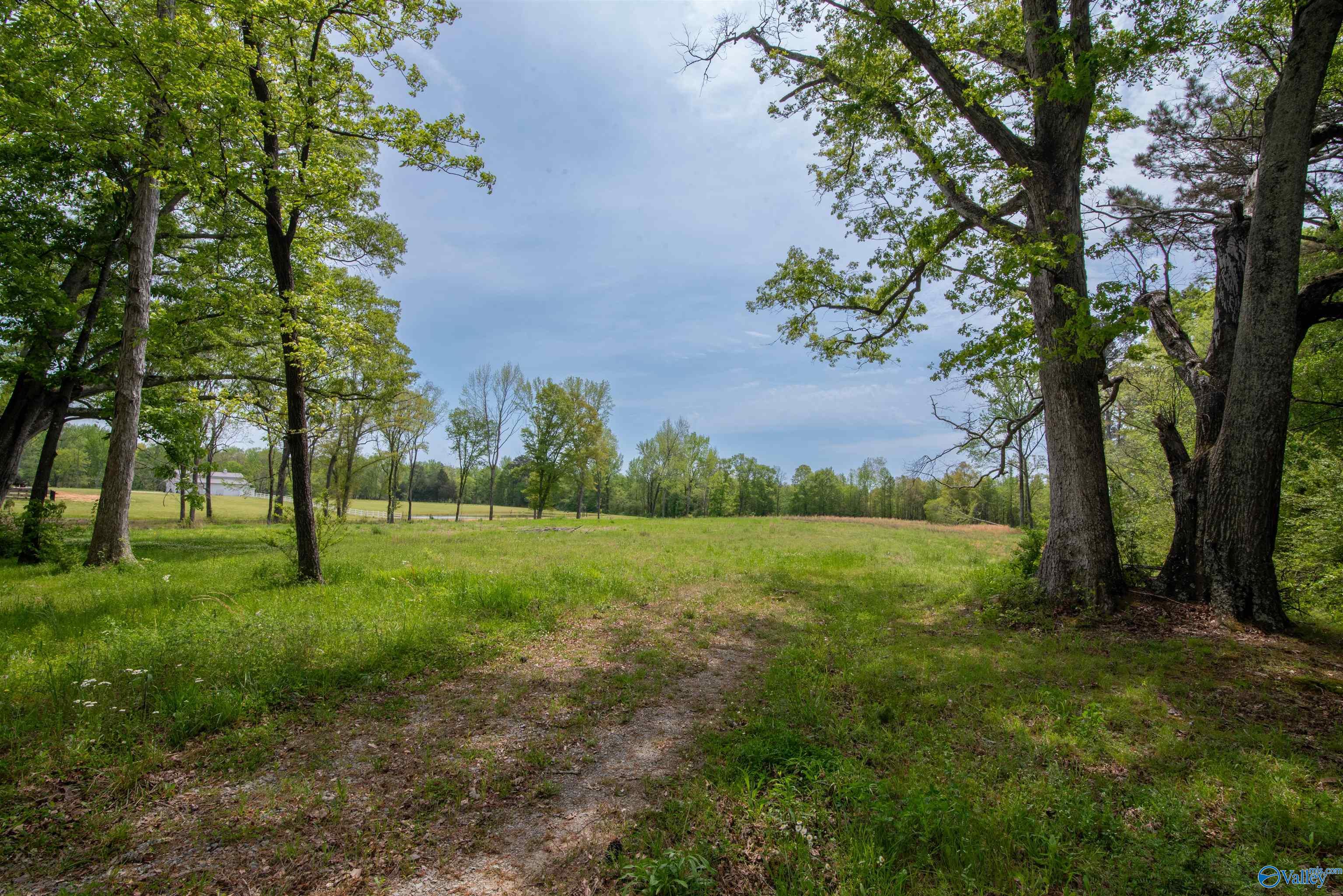 1710 Bethel Road, Hartselle, Alabama image 10