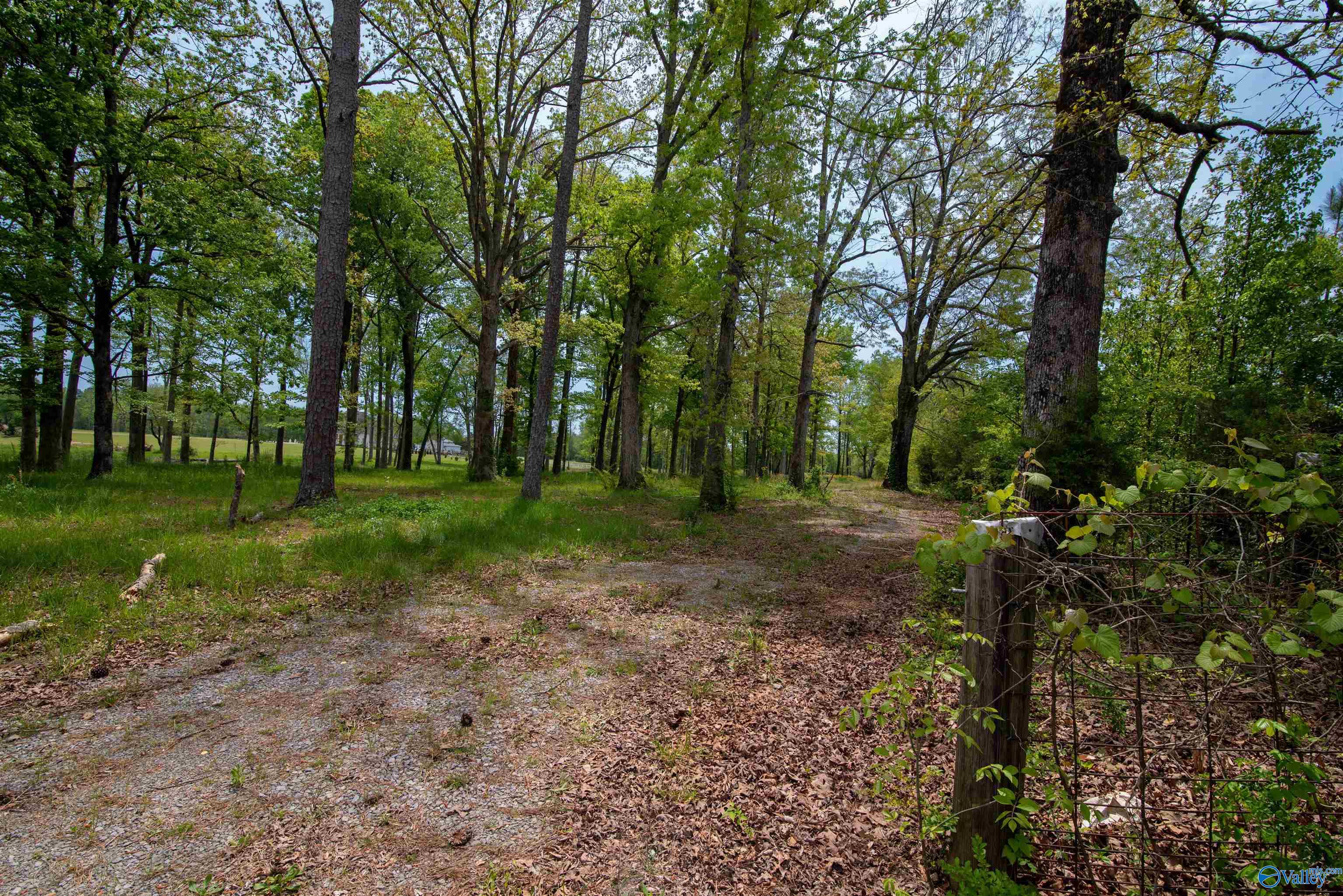 1710 Bethel Road, Hartselle, Alabama image 7