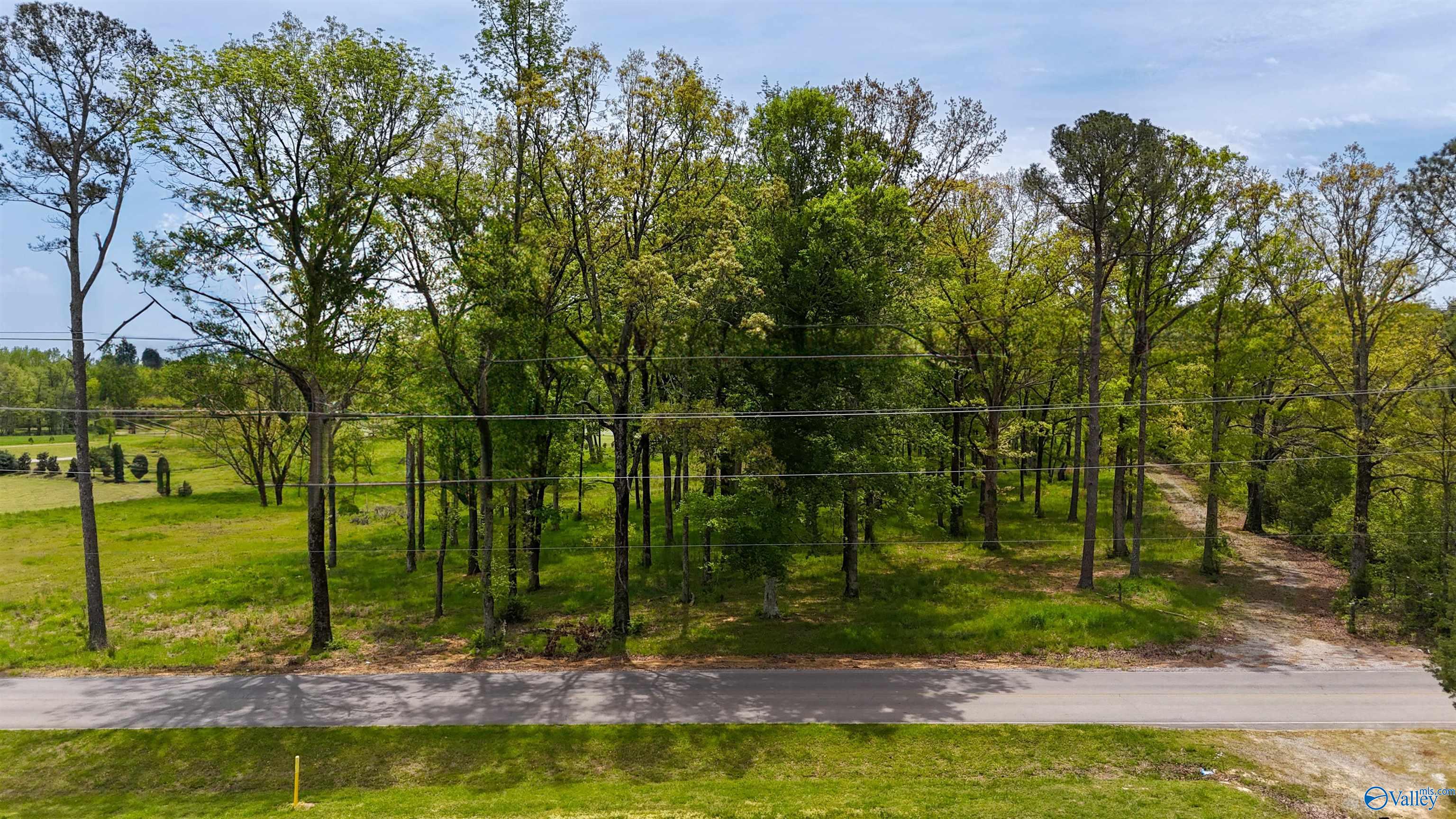 1710 Bethel Road, Hartselle, Alabama image 16
