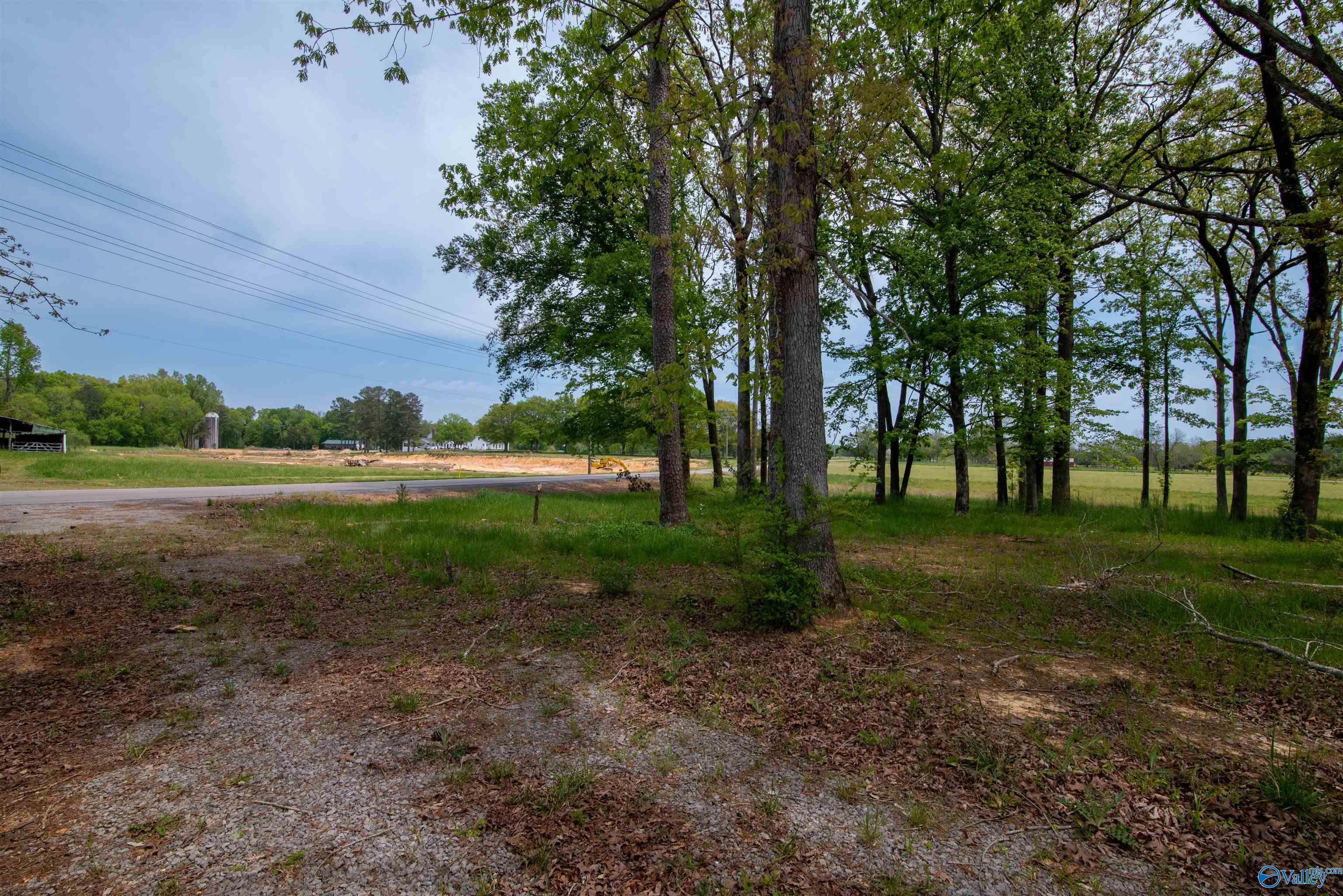 1710 Bethel Road, Hartselle, Alabama image 12