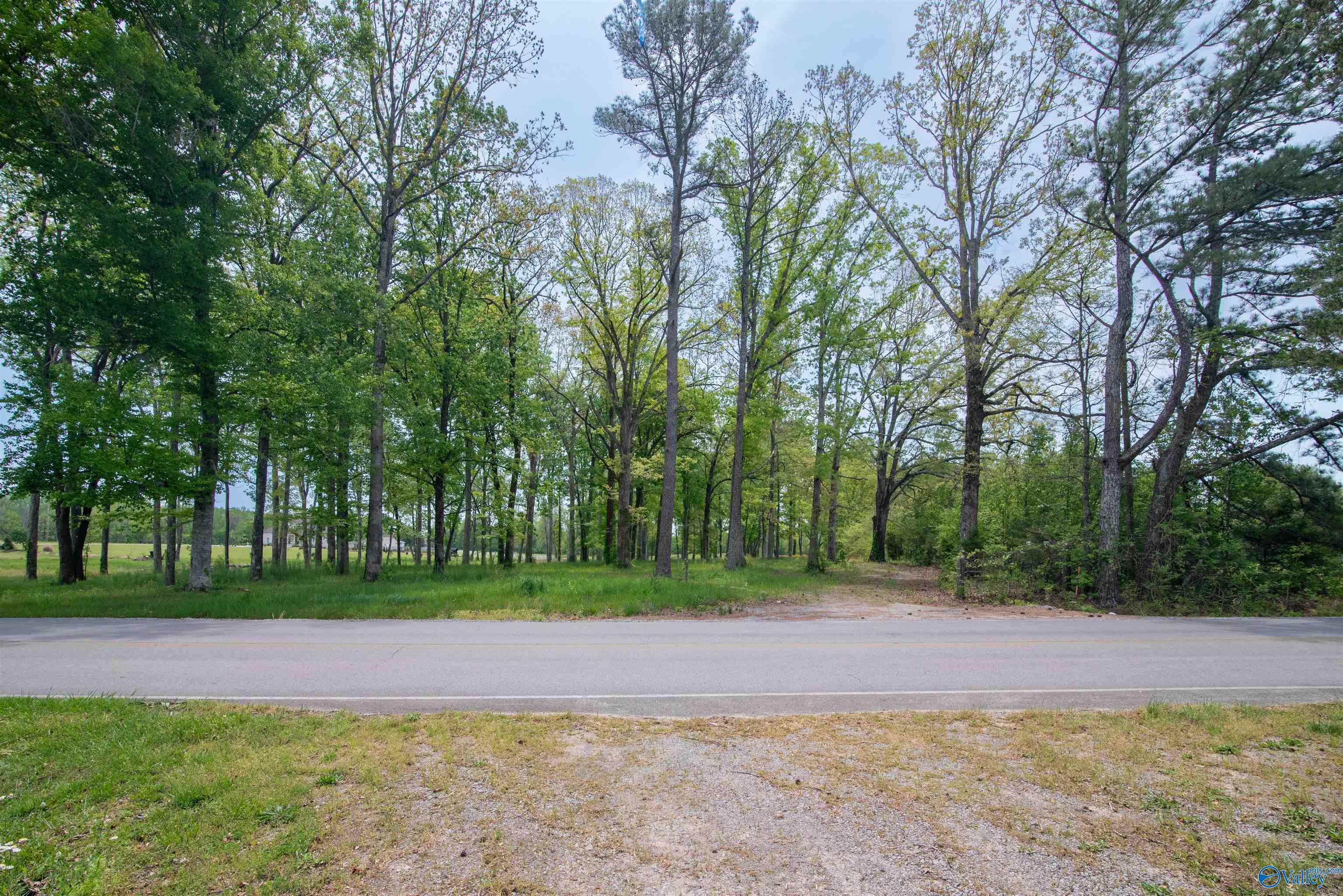 1710 Bethel Road, Hartselle, Alabama image 4