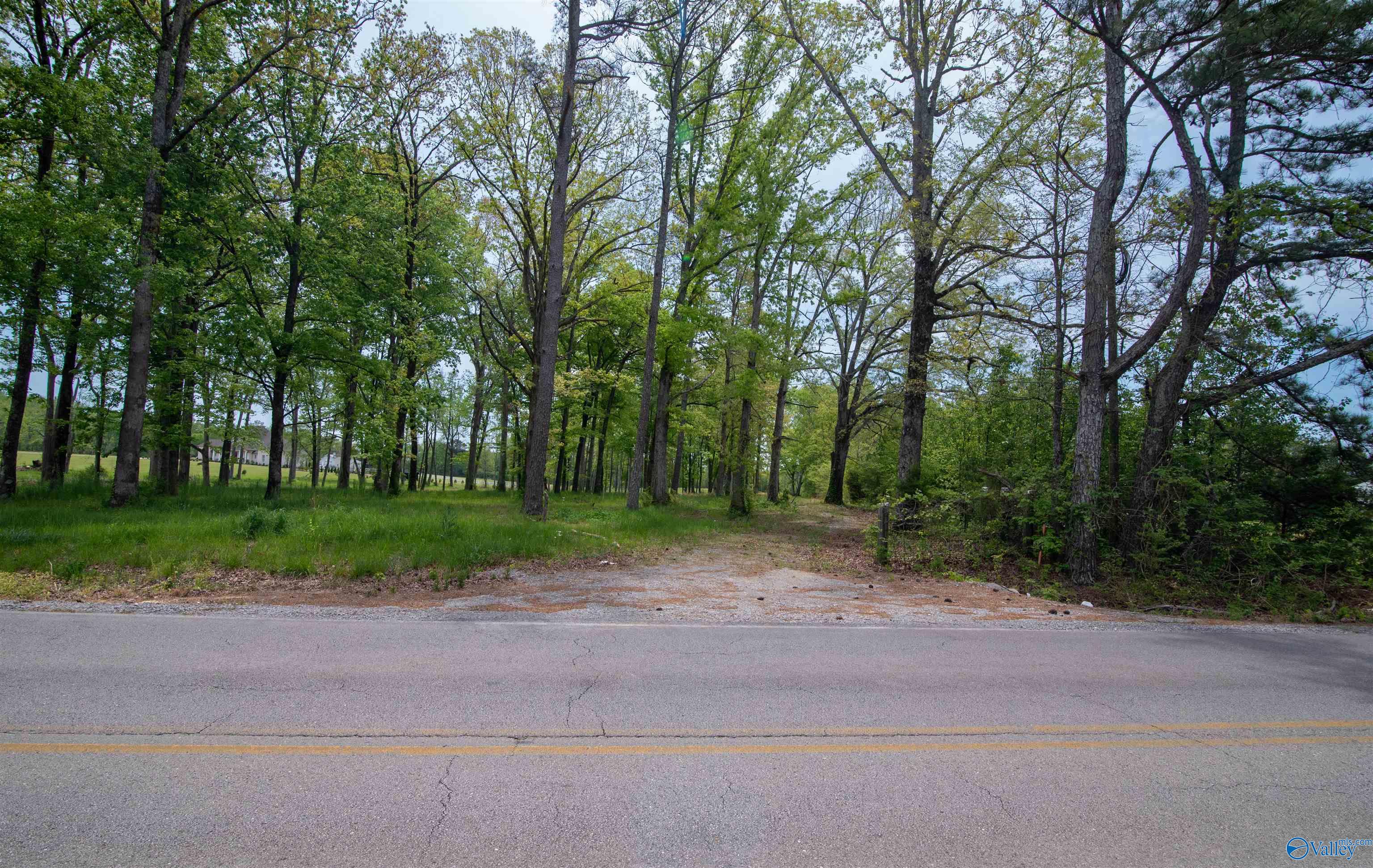 1710 Bethel Road, Hartselle, Alabama image 5