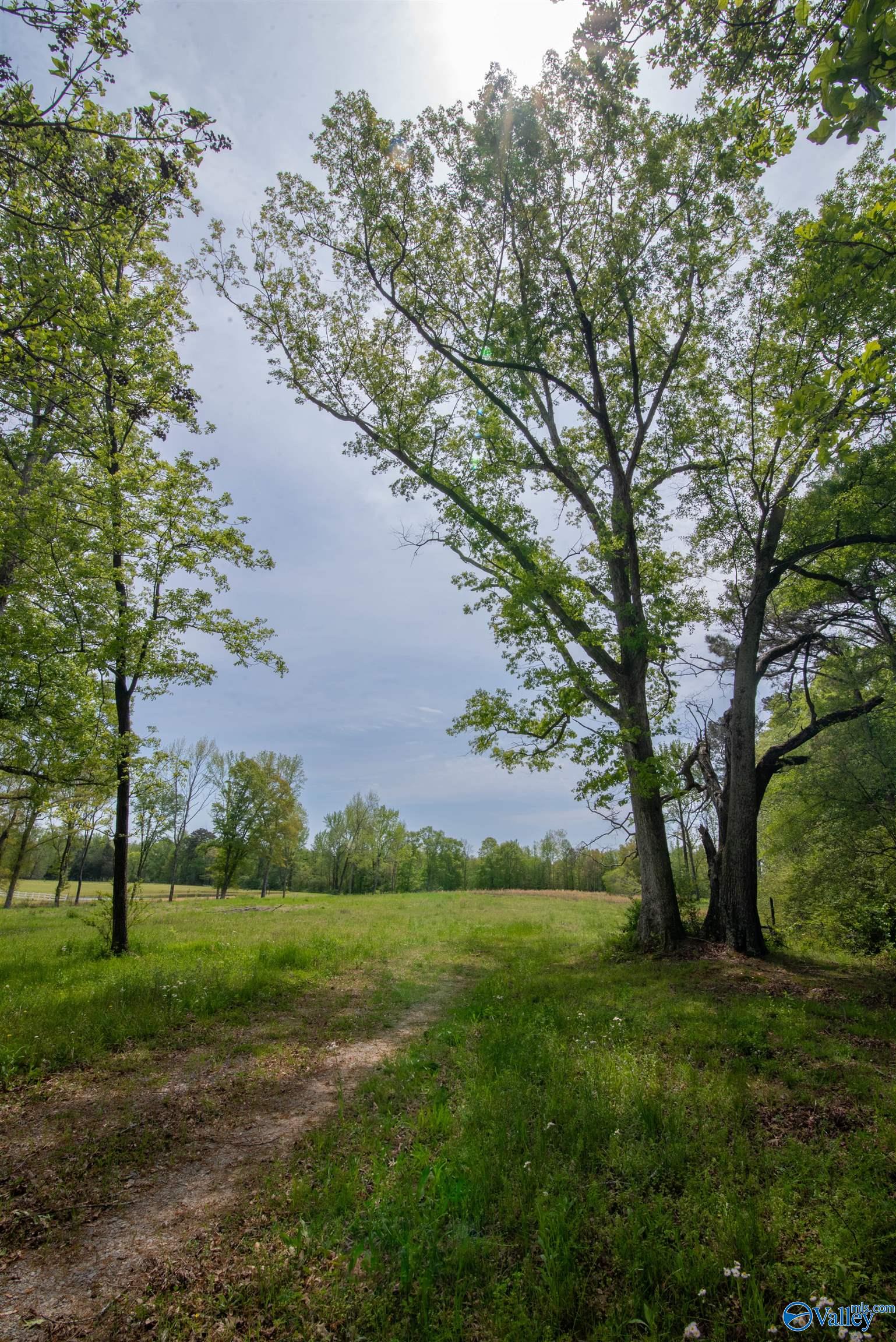 1710 Bethel Road, Hartselle, Alabama image 14