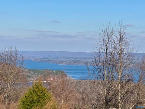 Vacant Land For Sale - 302 Mccorkle Mountain Road<br/> Scottsboro, AL 35769