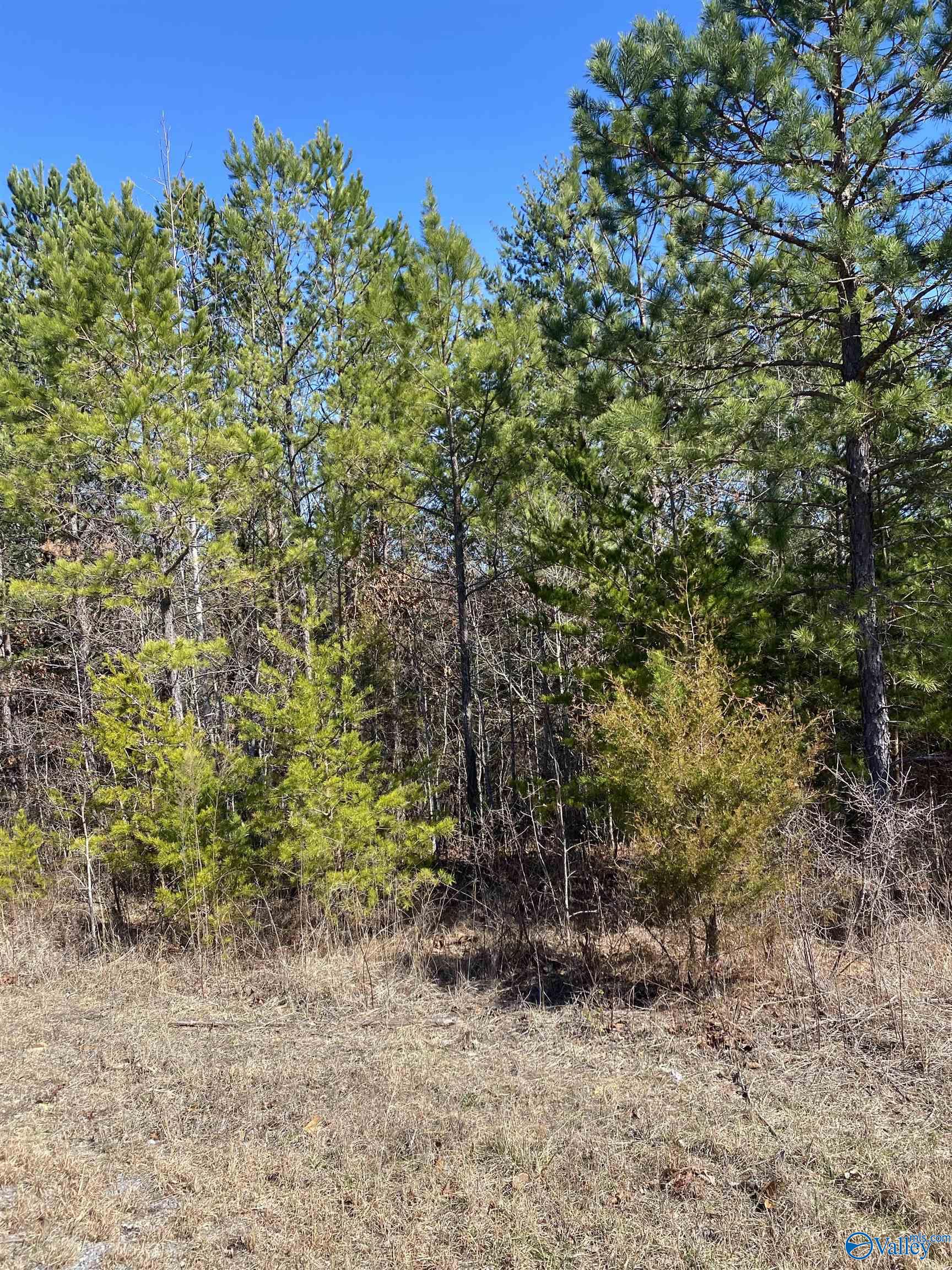 Lot 4 1st Add Alyson Avenue, Fort Payne, Alabama image 1