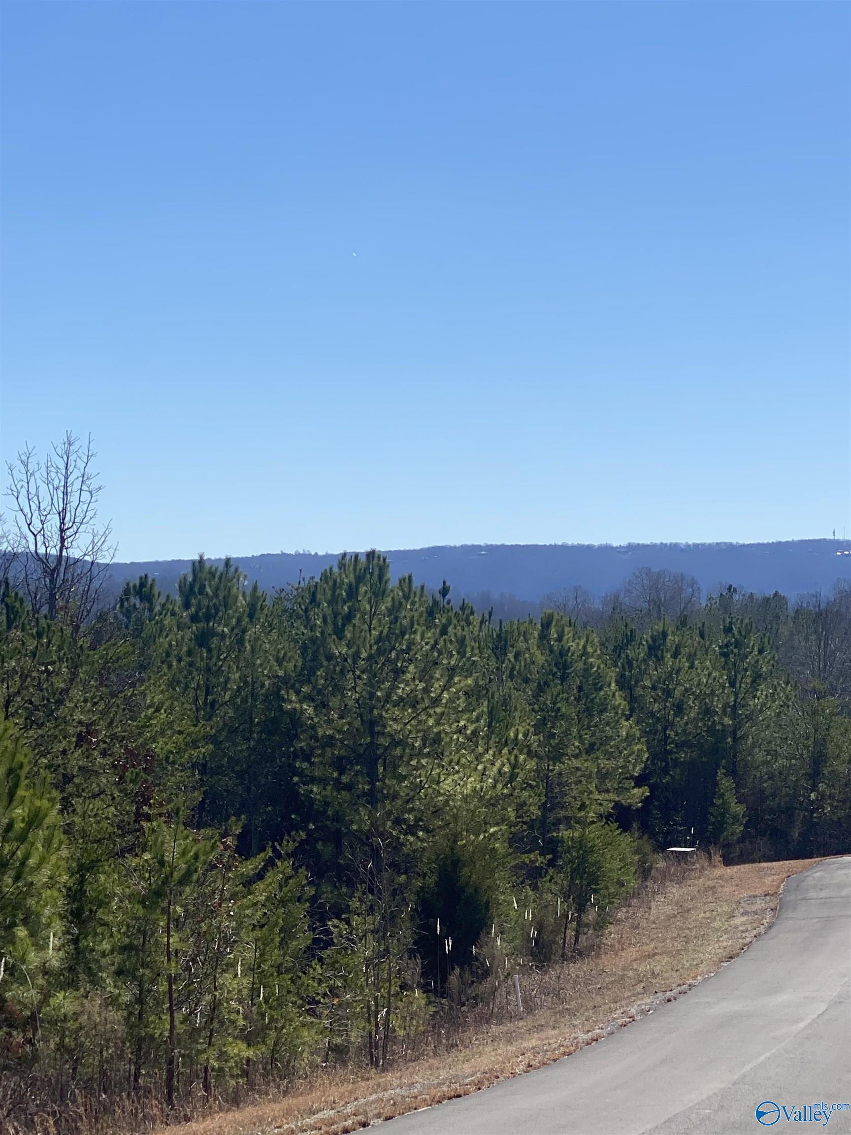 Lot 4 1st Add Alyson Avenue, Fort Payne, Alabama image 3