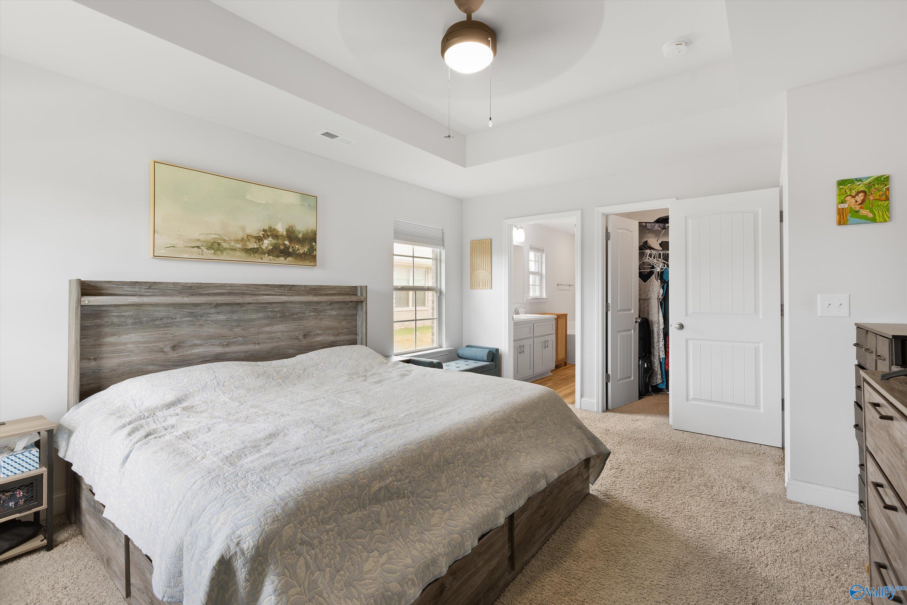 221 Alonzo Toney Drive, Madison, Alabama image 16