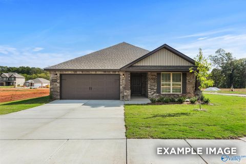 Homes For Sale - 121 Cotita Drive<br/> Toney, AL 35773