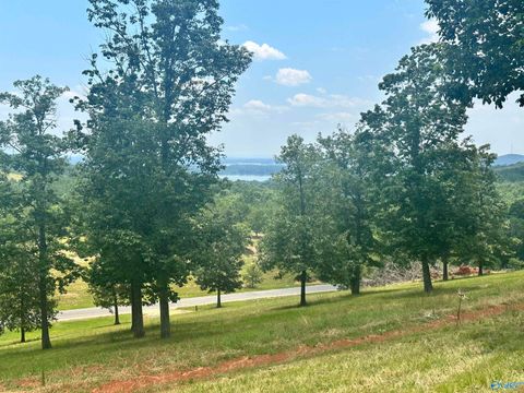 Vacant Land For Sale - LOT 218 County Road 1022 #218<br/> Cherokee County, Cedar Bluff, AL 35959
