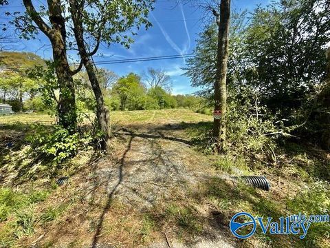 Vacant Land For Sale - 4117 Mat Morrow Road<br/> Arab, AL 35016