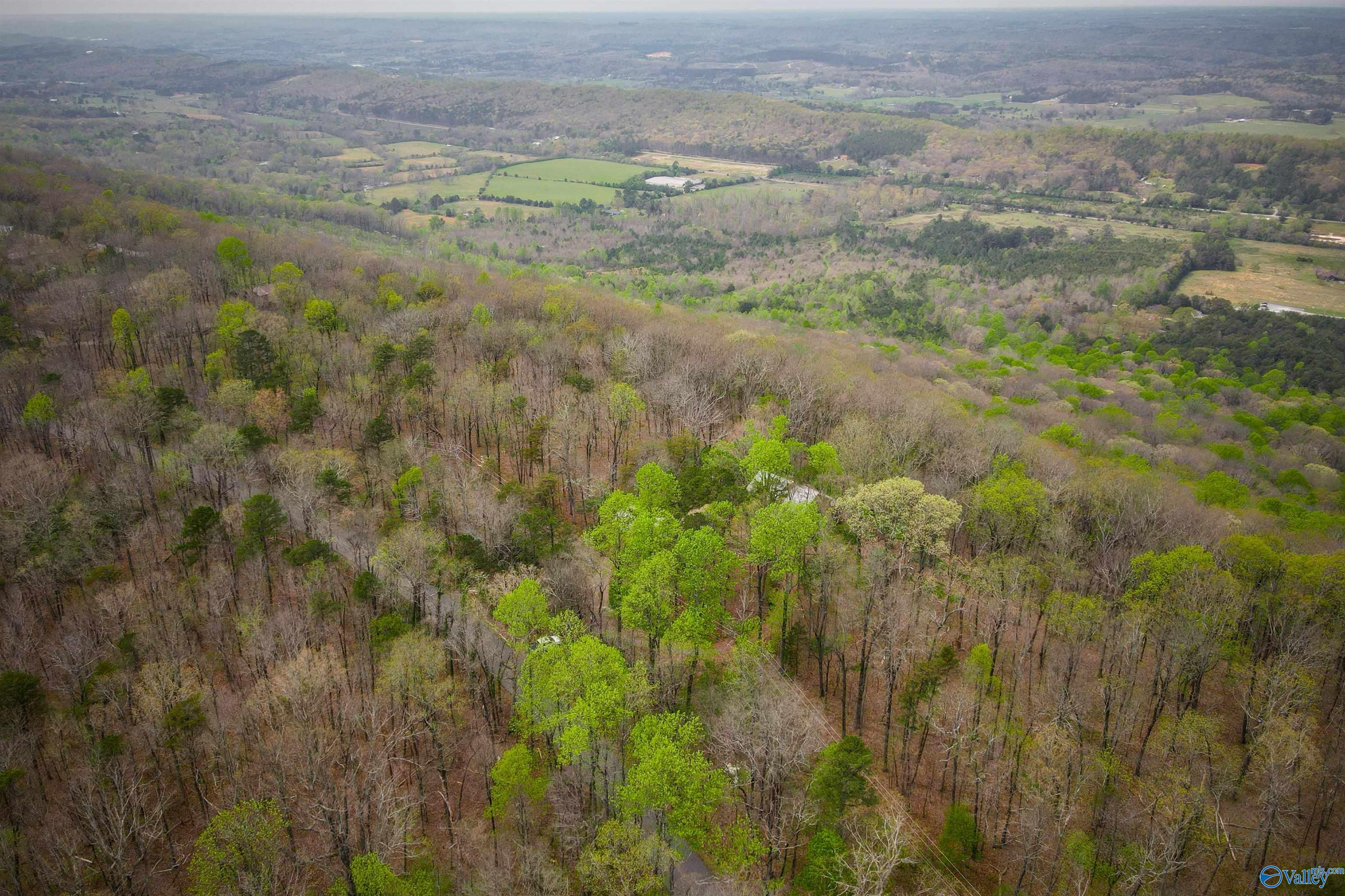 Mentone, Alabama, 35984, United States, 3 Bedrooms Bedrooms, ,3 BathroomsBathrooms,Residential,Active,2034666