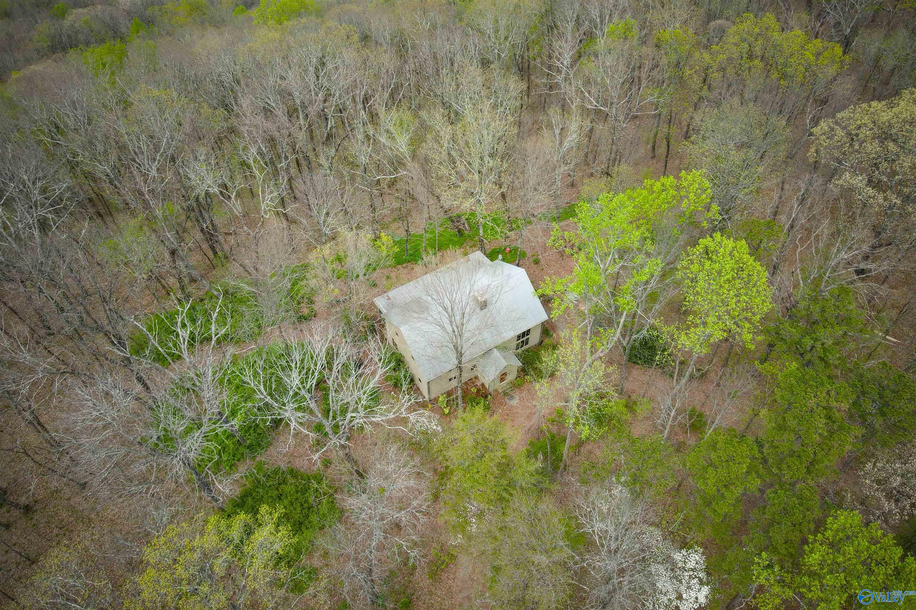 Mentone, Alabama, 35984, United States, 3 Bedrooms Bedrooms, ,3 BathroomsBathrooms,Residential,Active,2034666