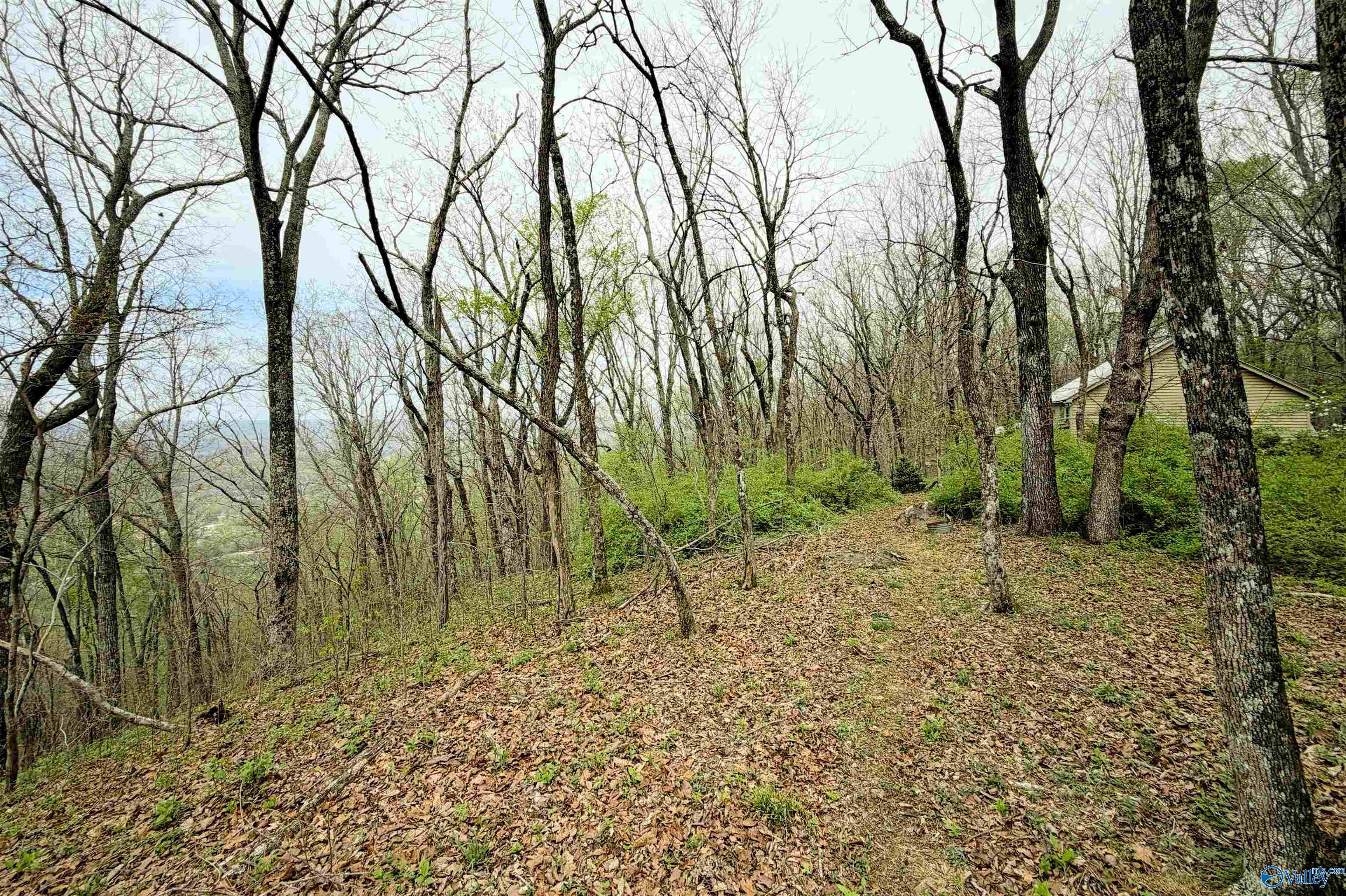 Mentone, Alabama, 35984, United States, 3 Bedrooms Bedrooms, ,3 BathroomsBathrooms,Residential,Active,2034666