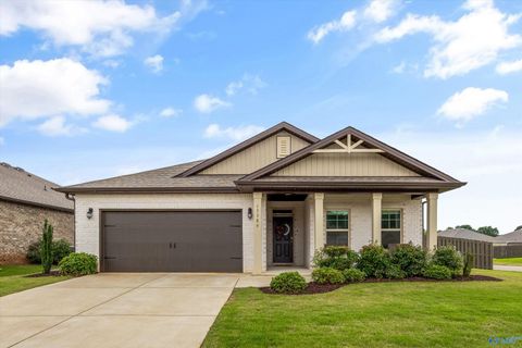 Photo of 13389 Golden Hay Circle NW, Madison, AL 35756 (MLS # 21919349)