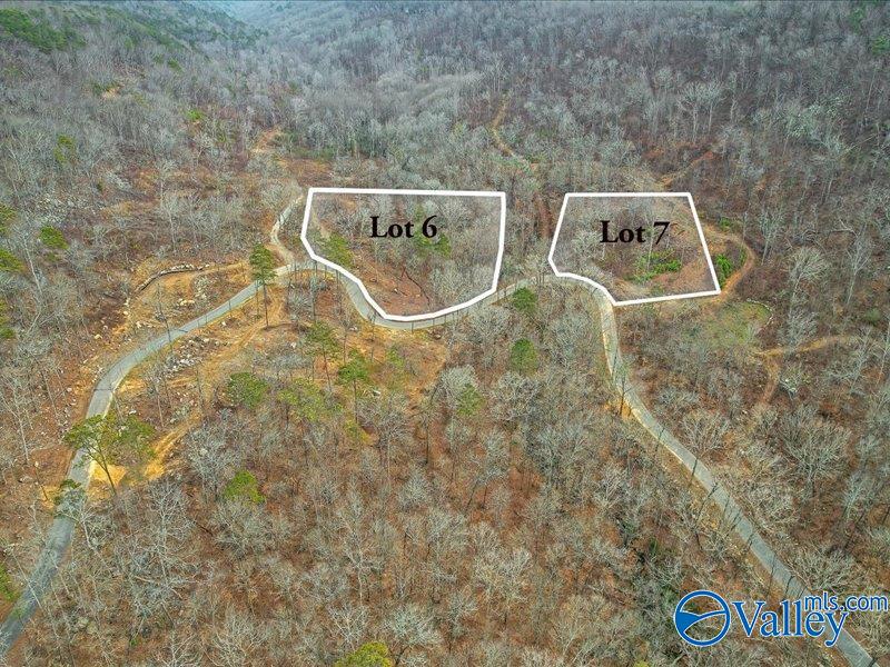 2947 Wyeth Drive, Guntersville, Alabama image 3