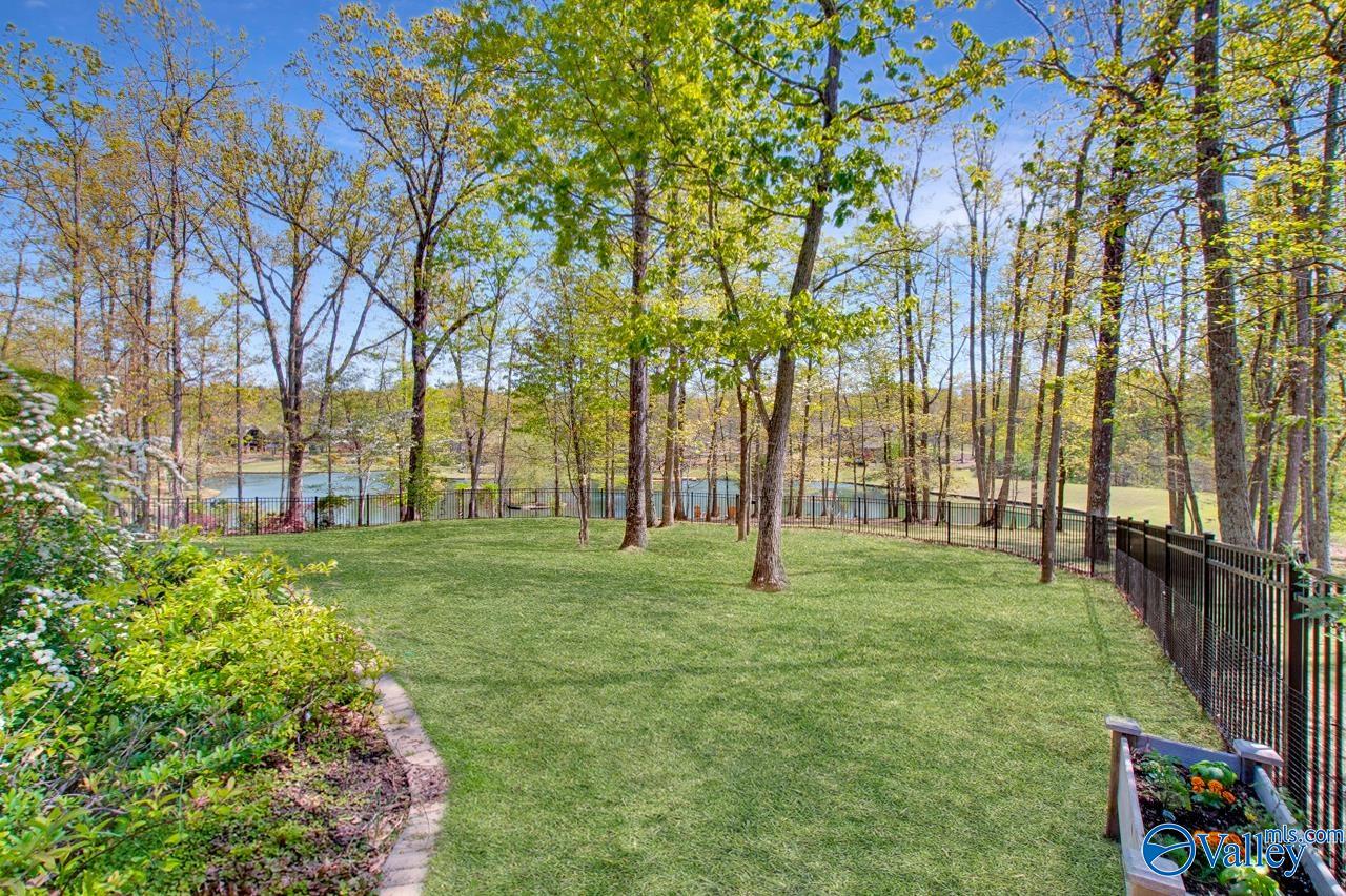 13211 S South Village Square Road, Huntsville, Alabama image 38