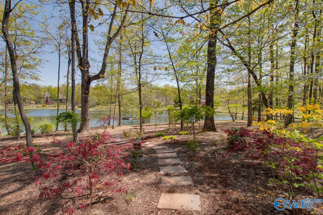 13211 S South Village Square Road, Huntsville, Alabama image 39