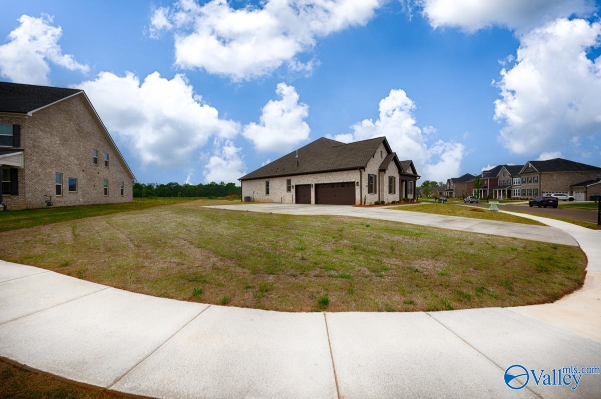 8031 Tupelo Gum Trace