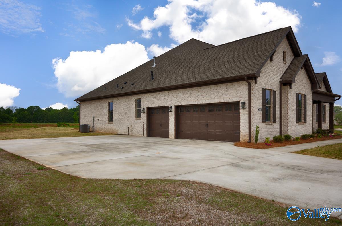 8031 Tupelo Gum Trace