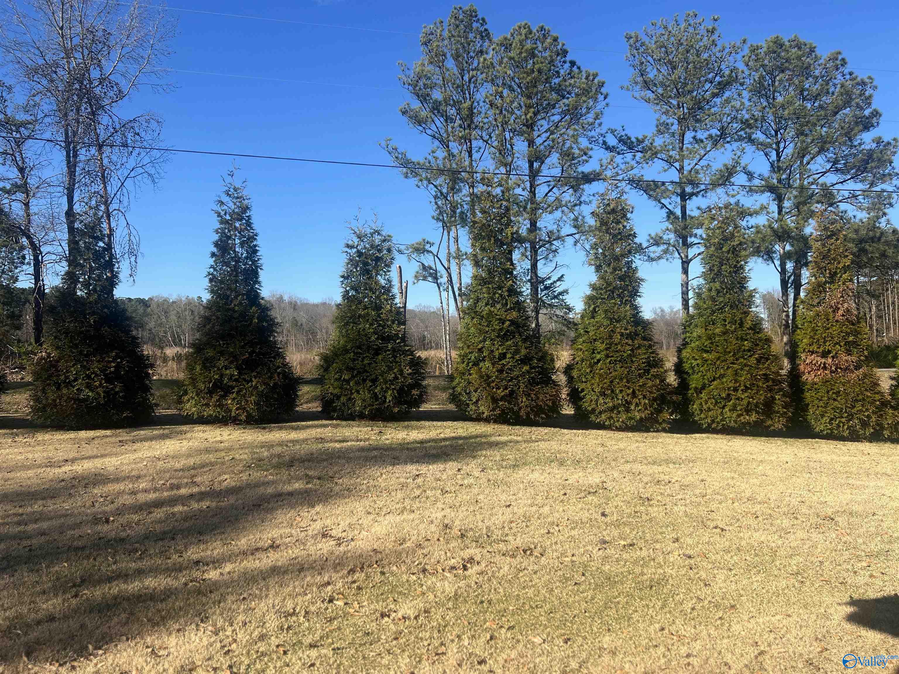 1180 St Clair Road, Leesburg, Alabama image 18
