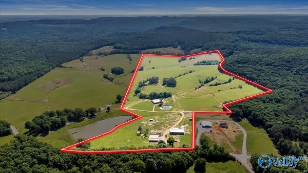 89 WHITE PIKE, CHEROKEE, AL 35616 - Image c98c04655ef77ebfffd715a4ff21ad8e/2857959159