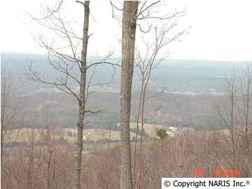 Vacant Land For Sale - 4250 Citadel Rock Road<br/> Fort Payne, AL 35967