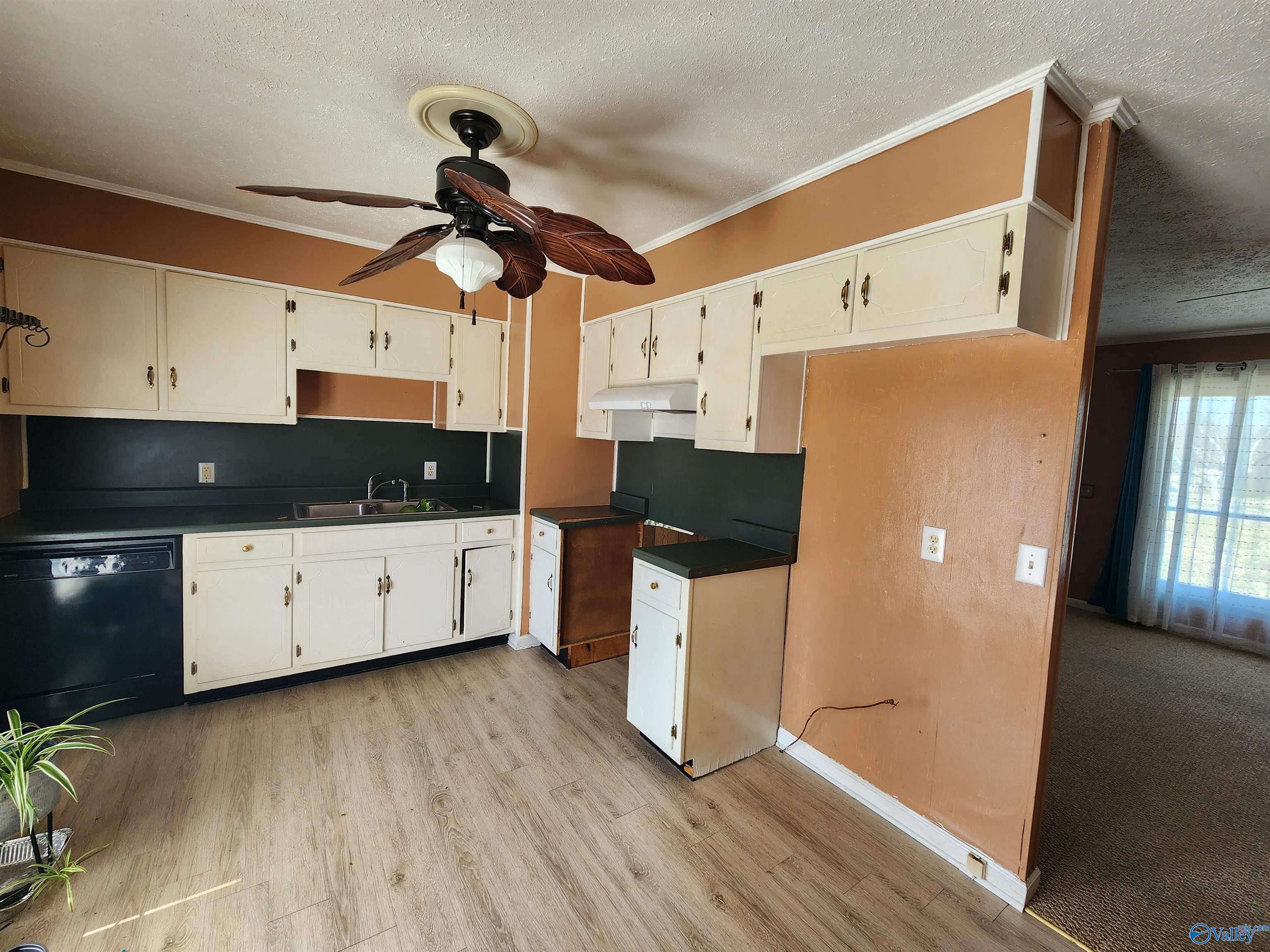 439 Mitchell Drive, Rainsville, Alabama image 3