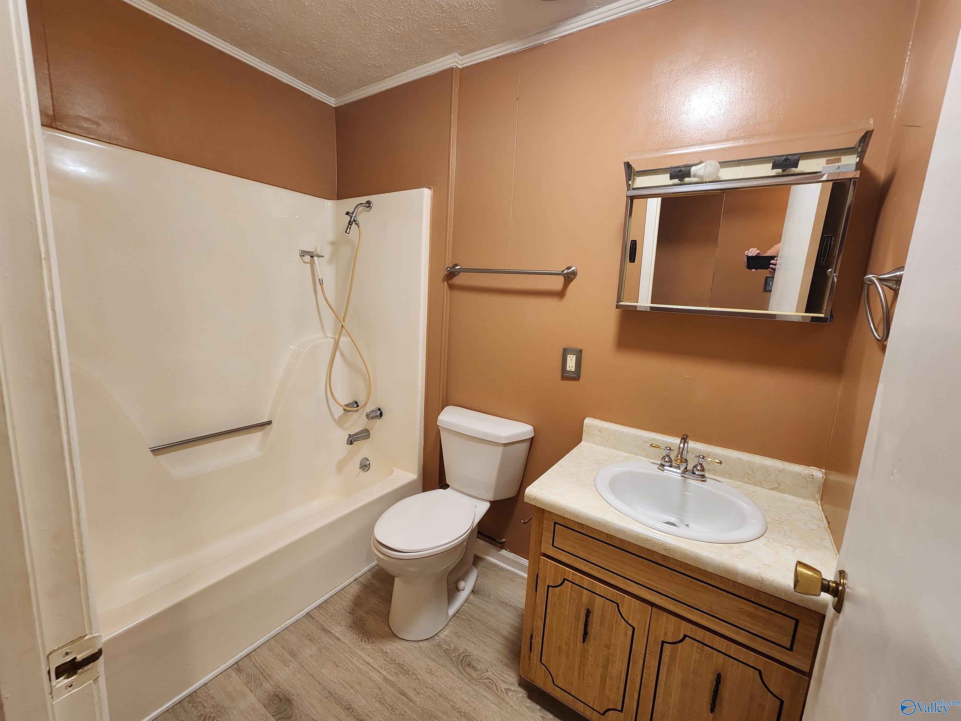439 Mitchell Drive, Rainsville, Alabama image 12
