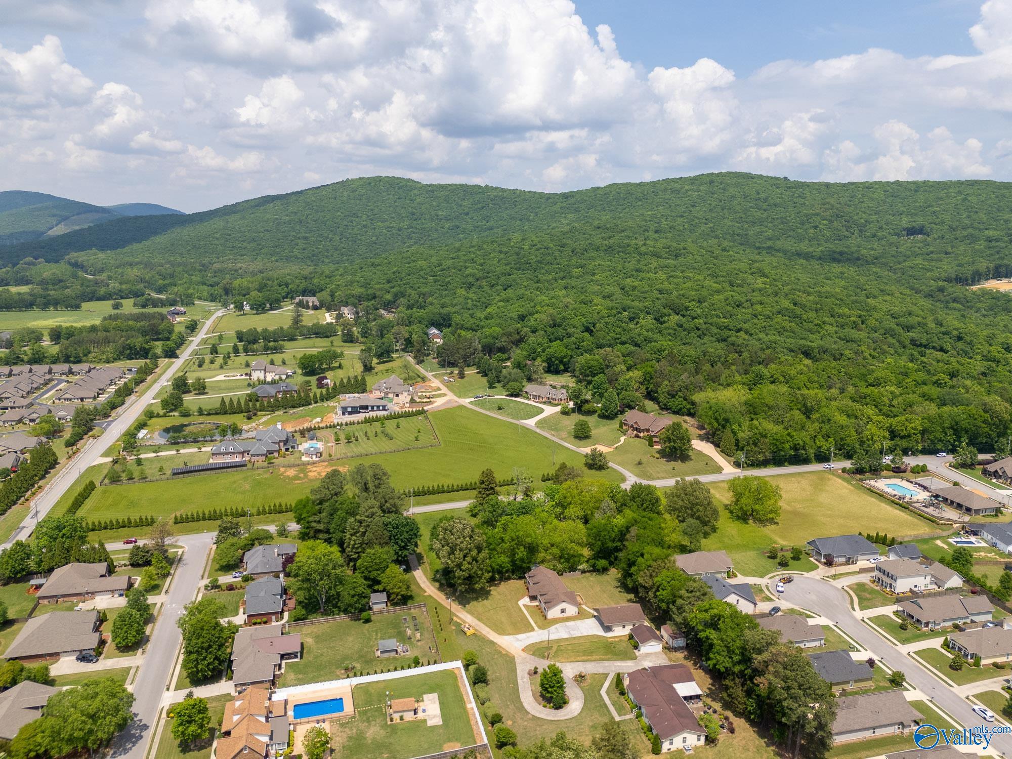 312 SE Caldwell Lane, Owens Cross Roads, Alabama image 32